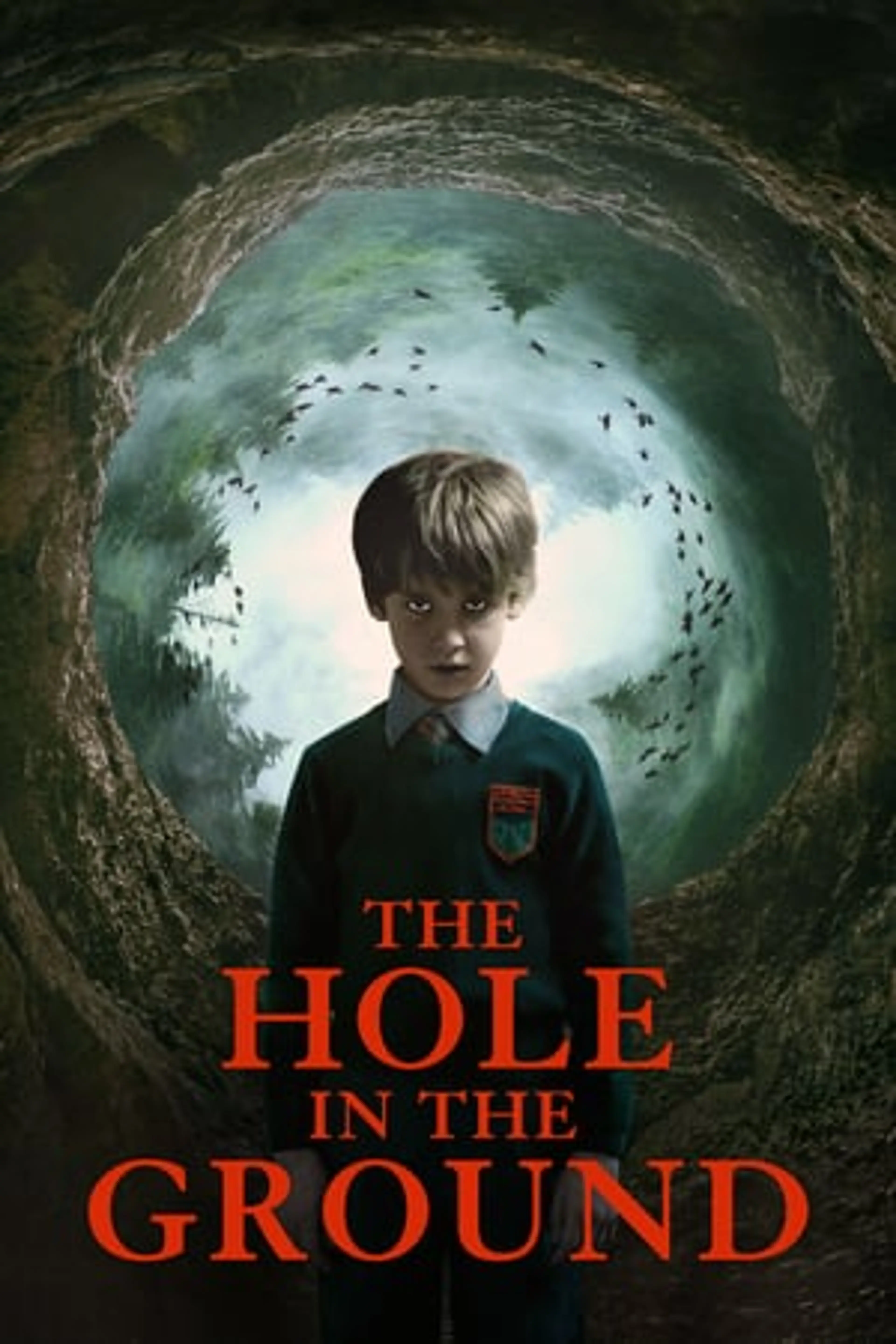 The Hole in the Ground  (2019)
