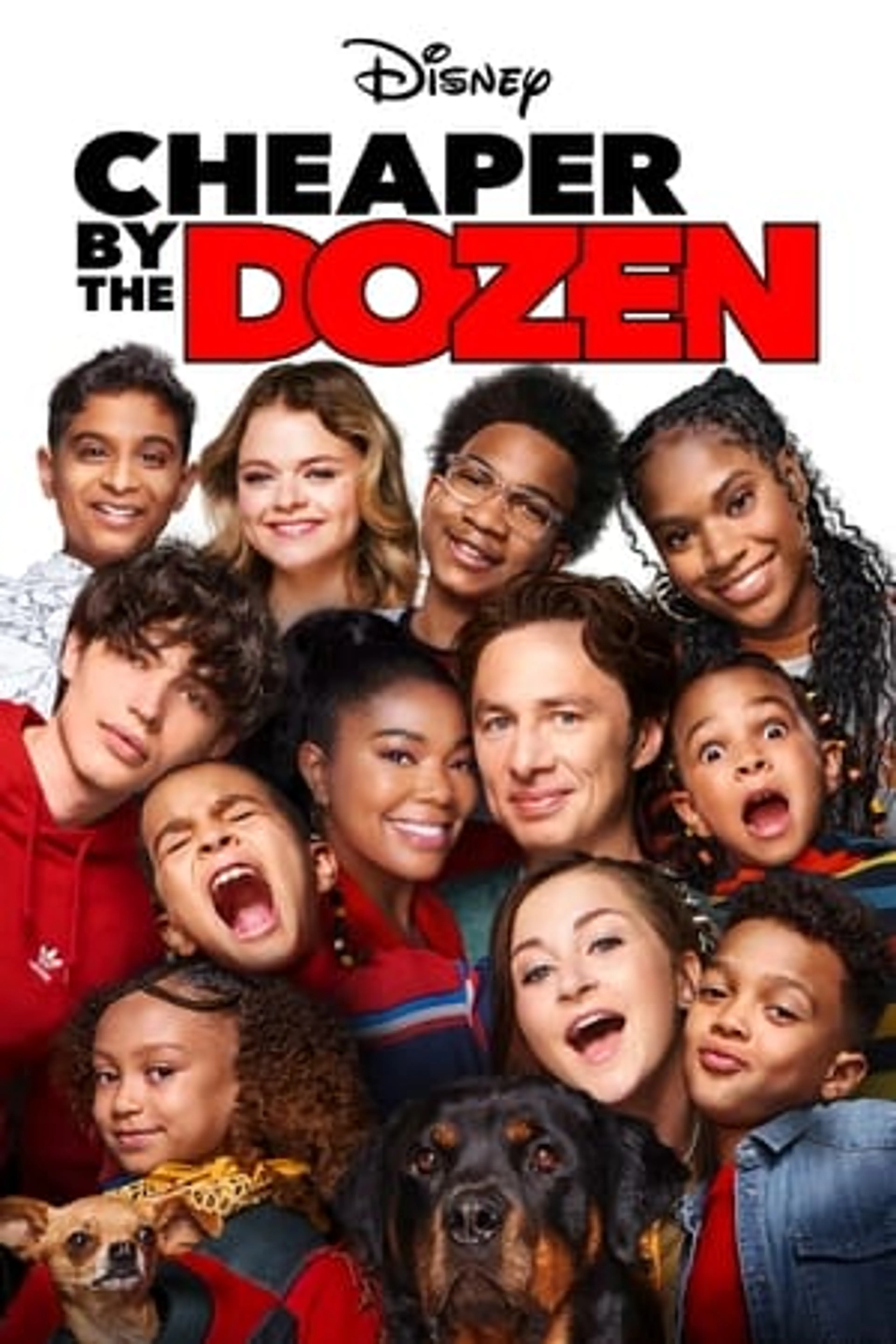 Cheaper By The Dozen  (2022)