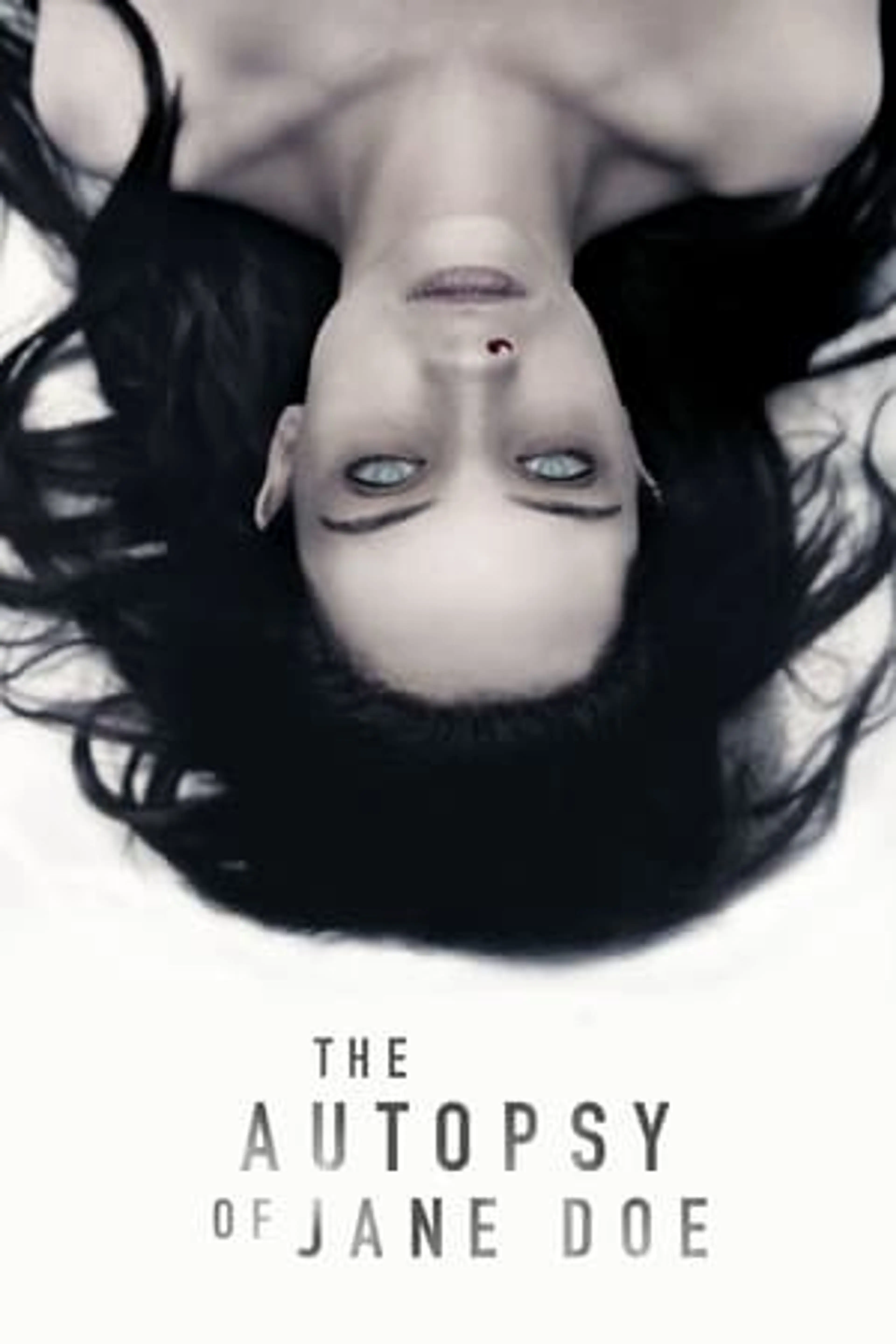 The Autopsy of Jane Doe  (2016)