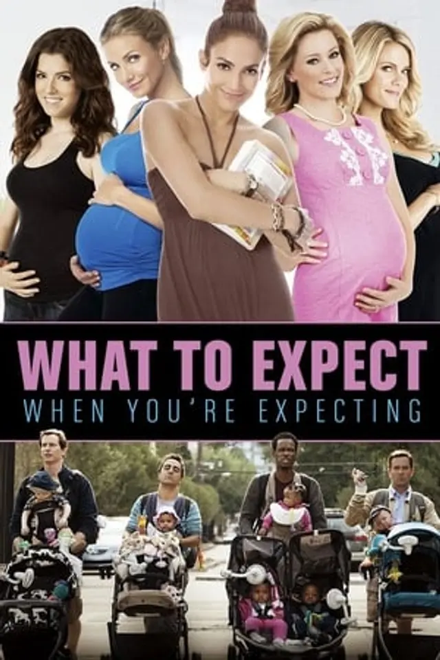 What to Expect When You’re Expecting (2012) Subtitle Indonesia