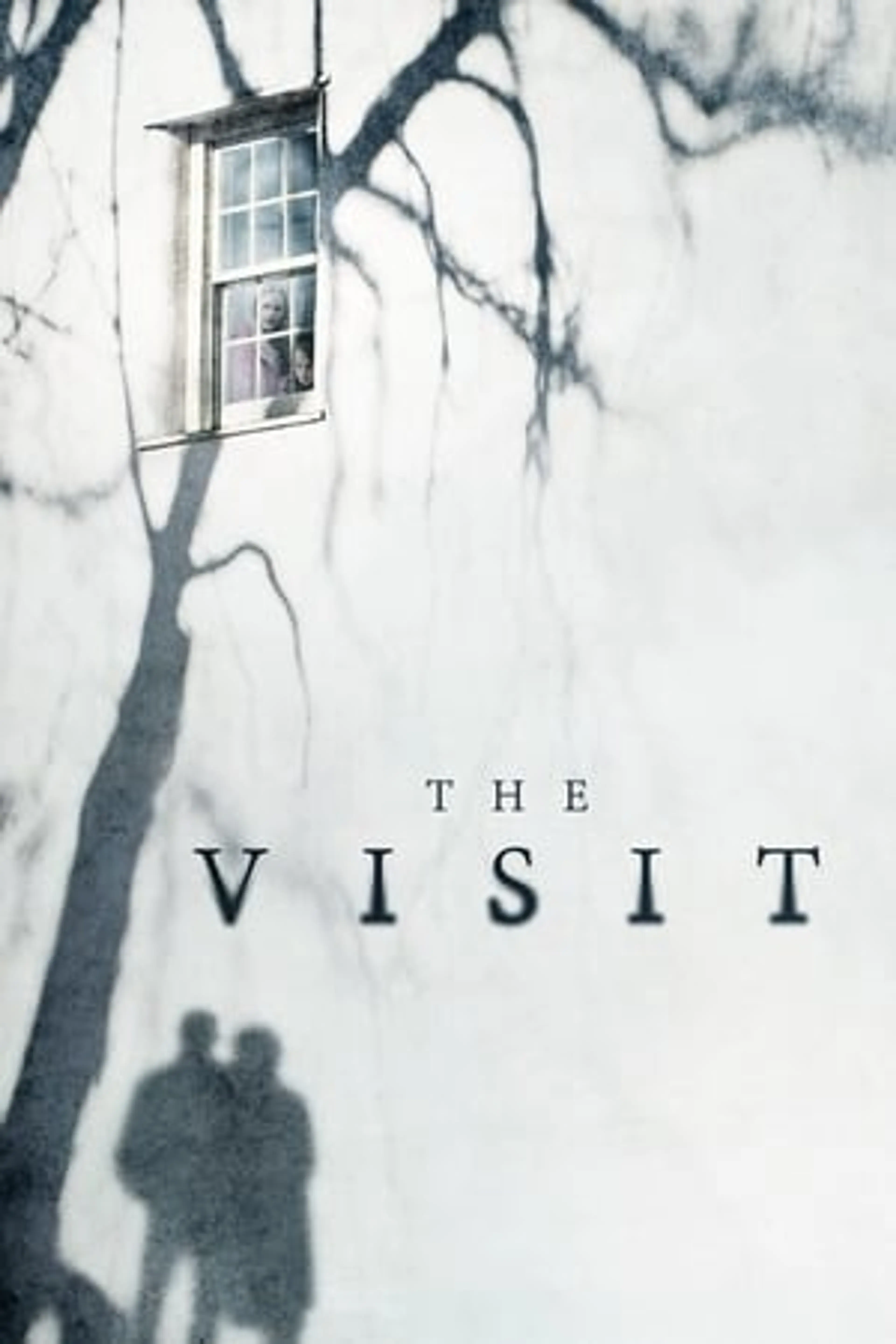 The Visit  (2015)