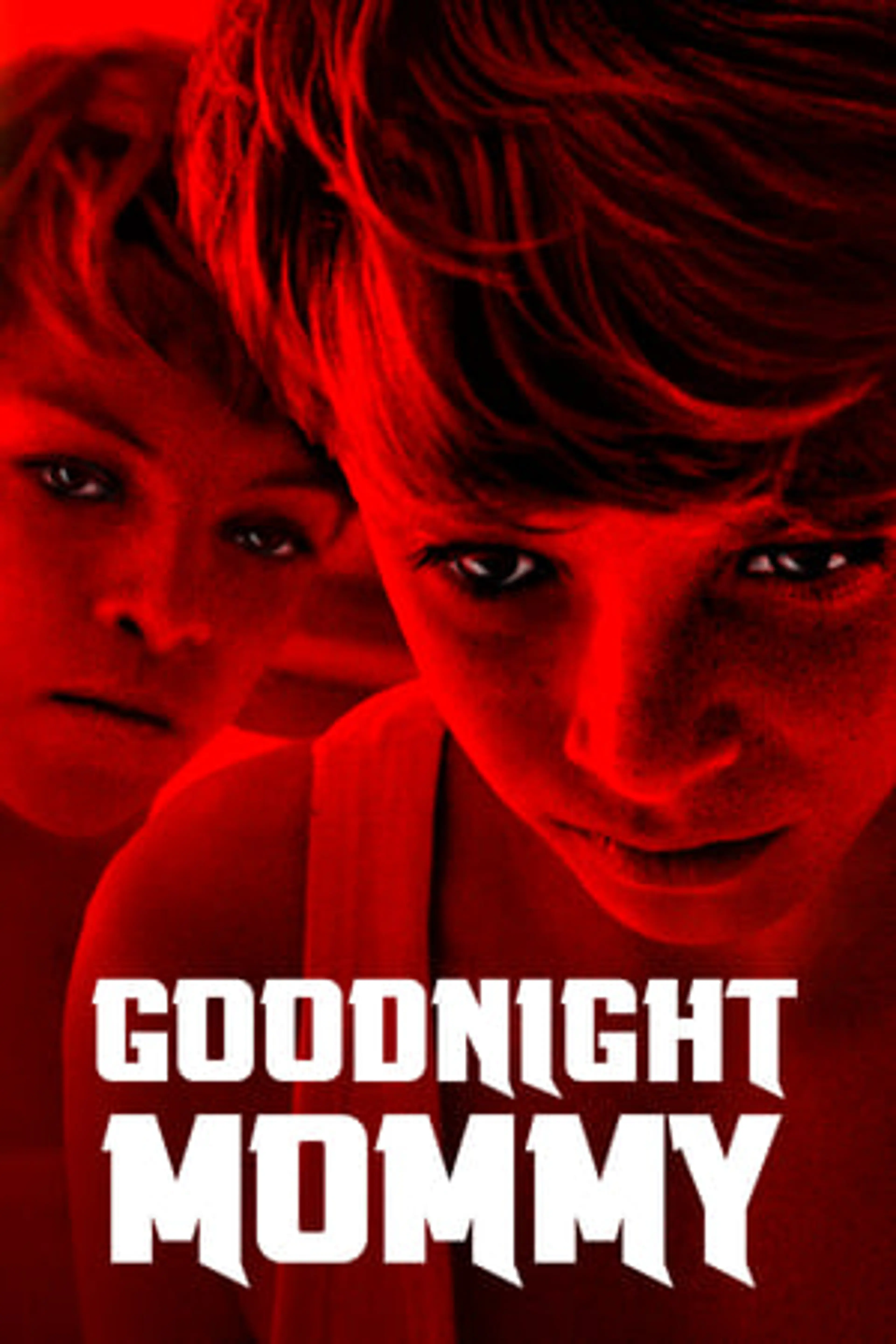 Goodnight Mommy  (2014)