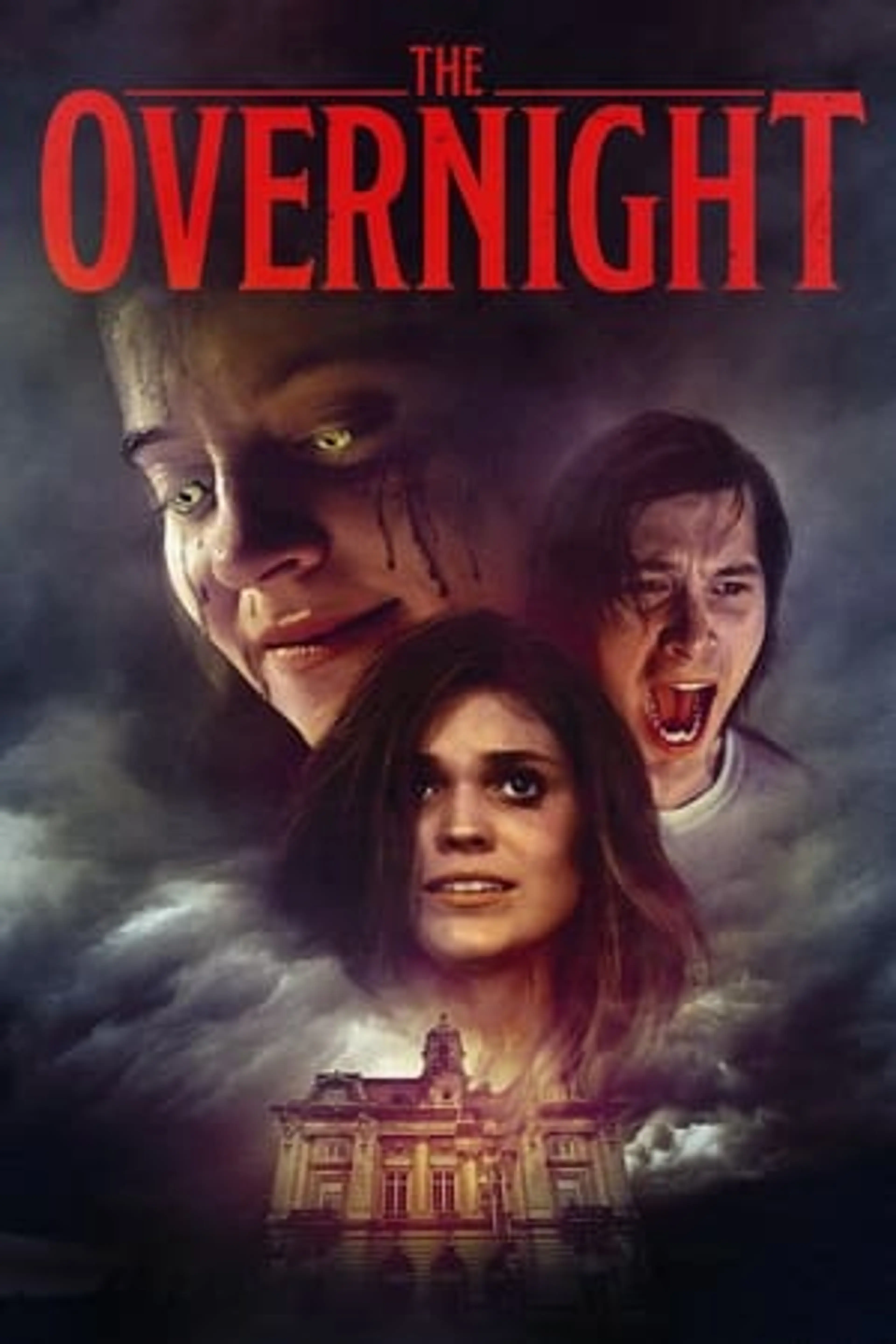 The Overnight  ()