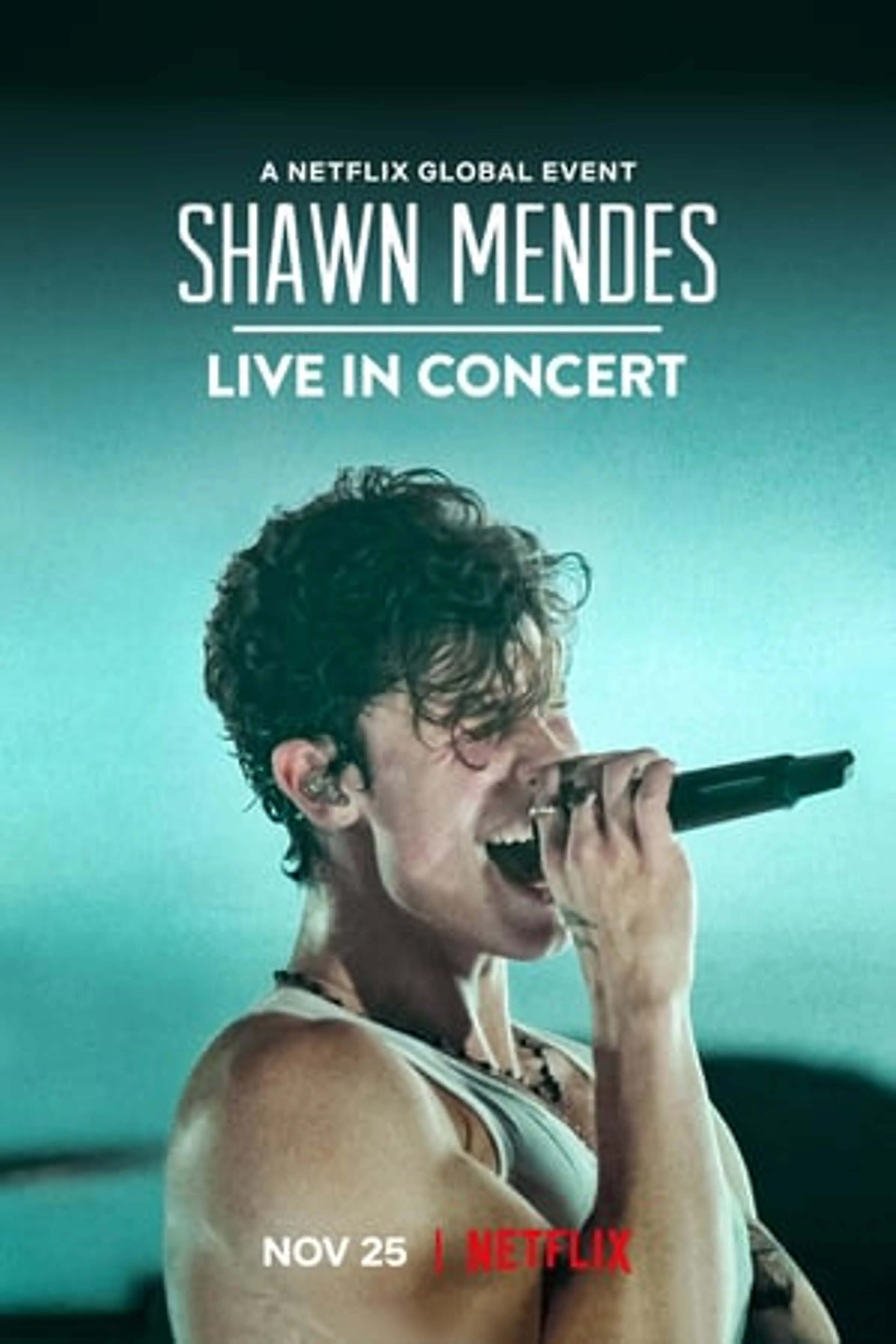 Shawn Mendes: Live in Concert  (2020)