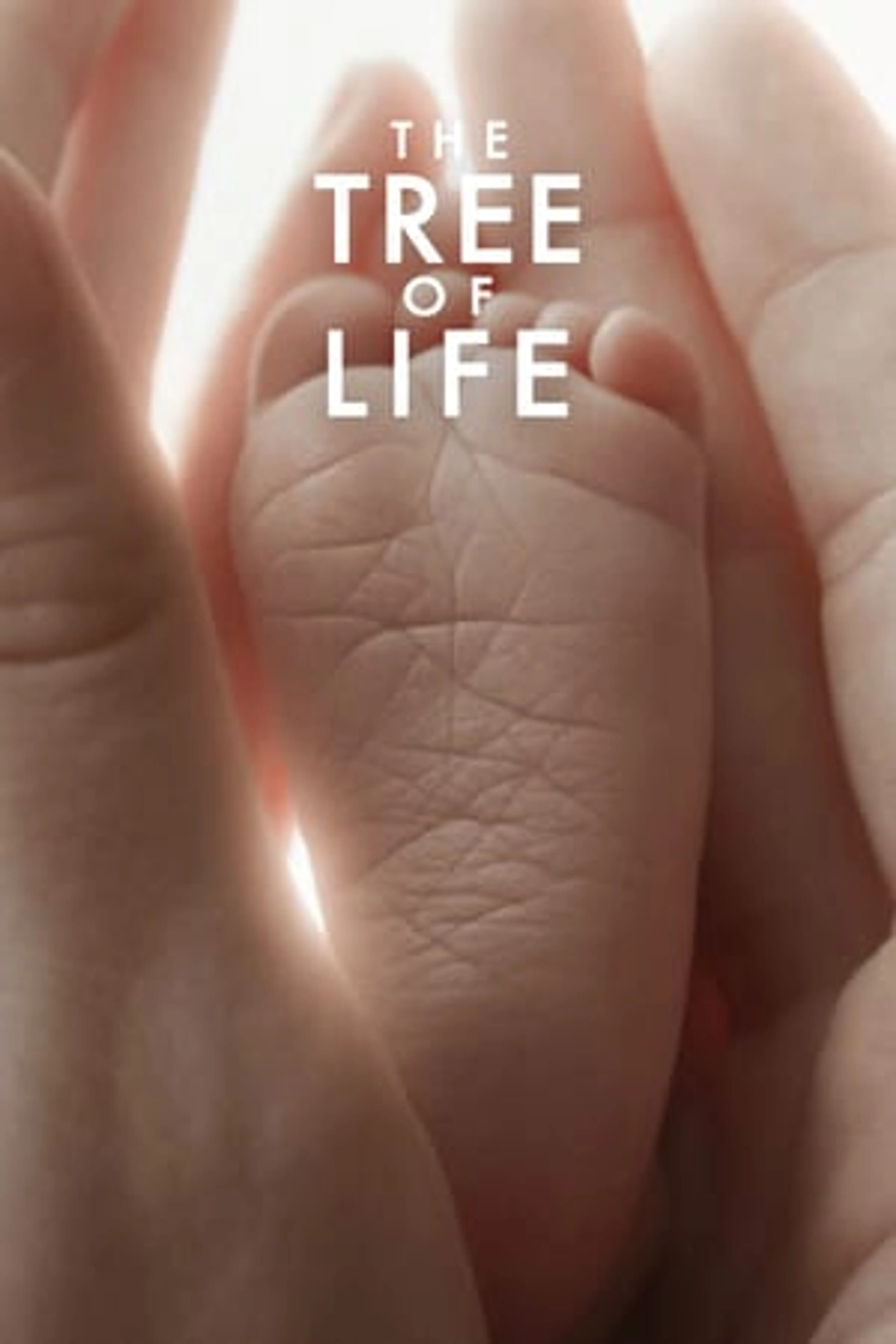The Tree of Life  (2011)