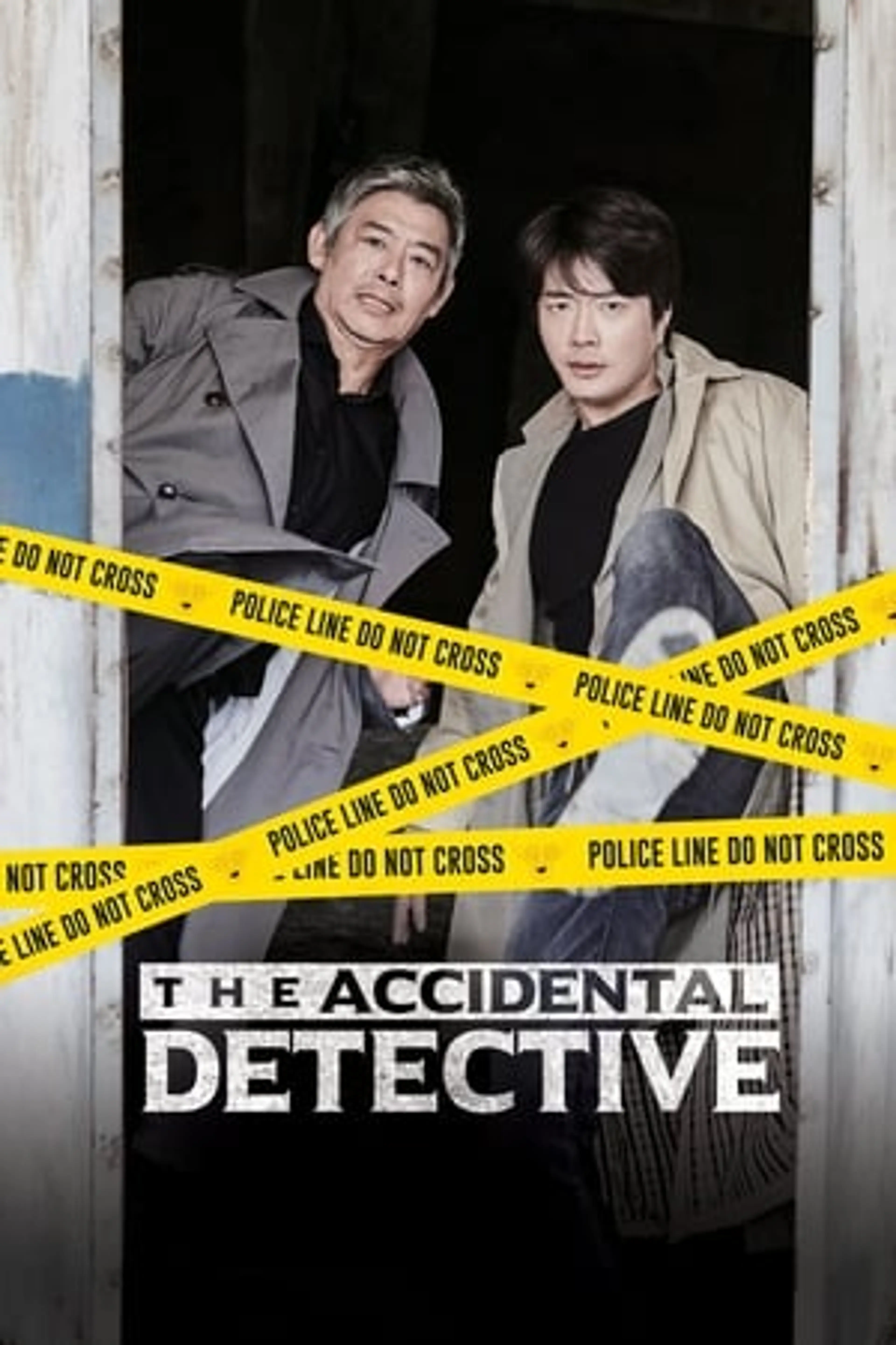 The Accidental Detective  (2015)