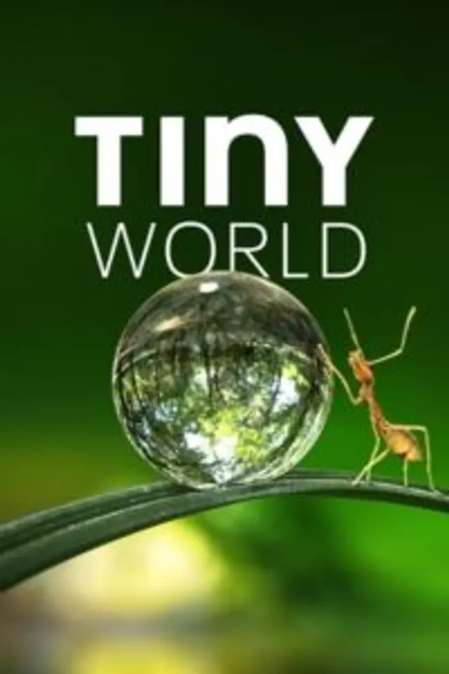 Tiny World (2020) Episode 01-06 End