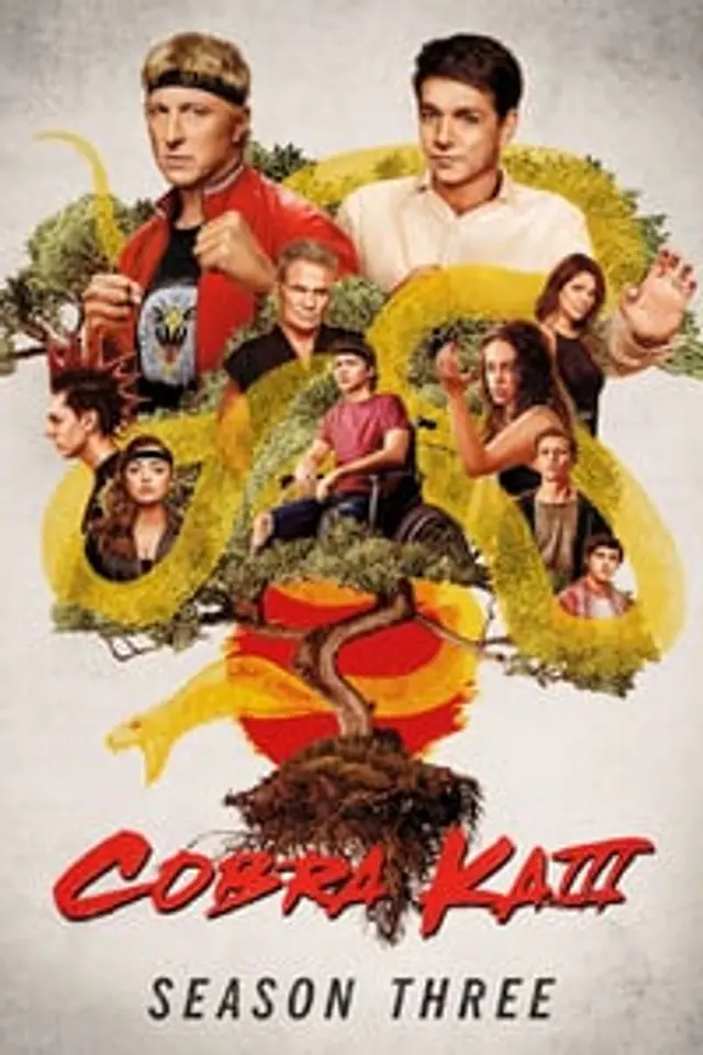 Cobra Kai Season 3 (2021) Episode 01-10 End