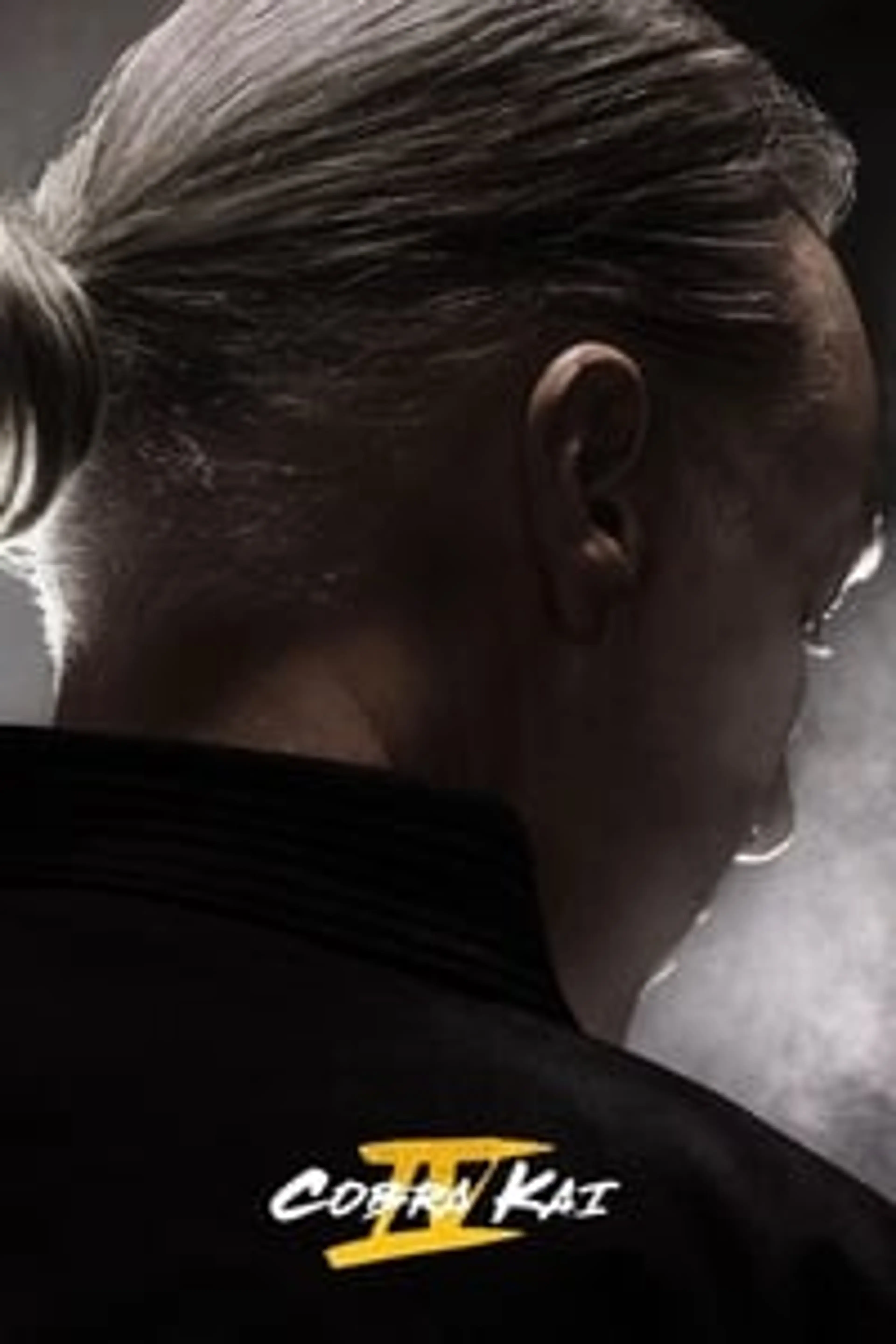 Cobra Kai Season 4 (2021) Episode 01-10 End