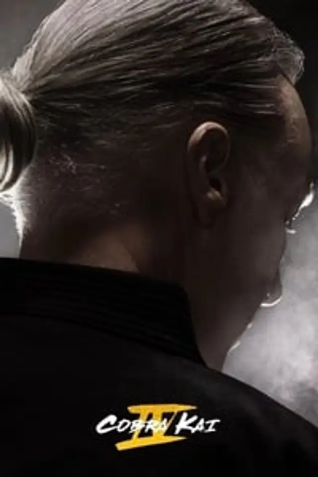 Cobra Kai Season 4 (2021) Episode 01-10 End