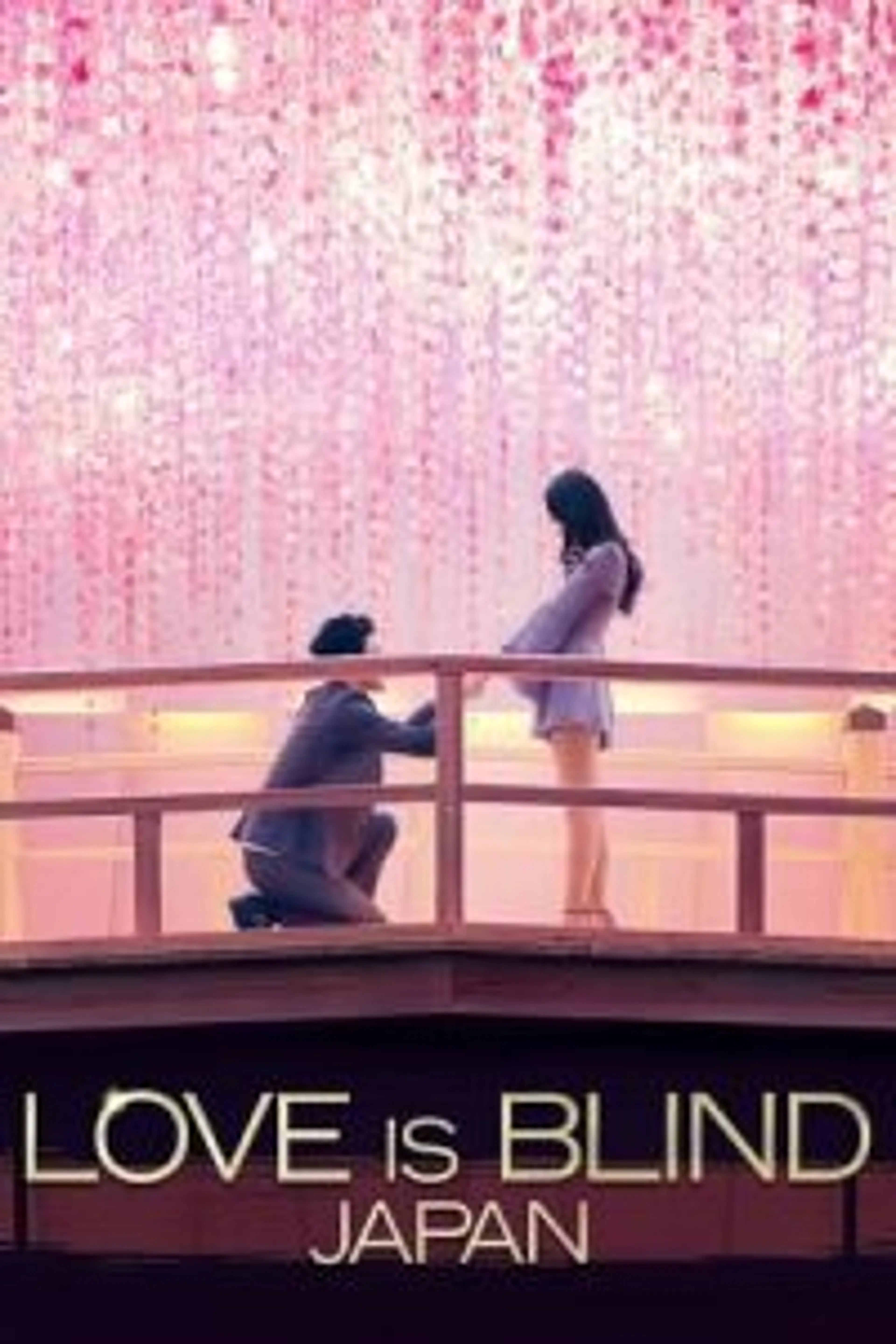 Love is Blind: Japan (2022) Episode 01-11 End